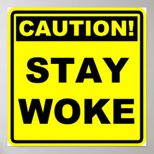 Poster Placard de l'affiche du mème Stay Woke