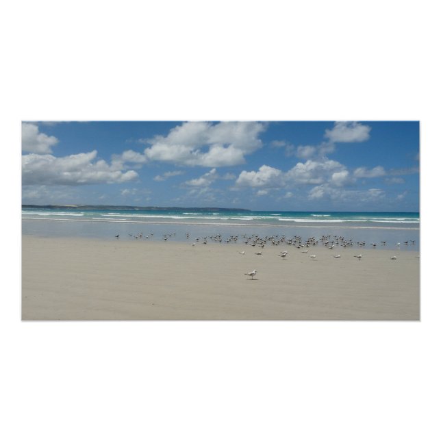 Poster Plage avec mouettes (Devant)