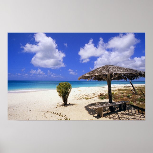 Poster Plage de Coco Point, Barbuda, Antigua (Devant)