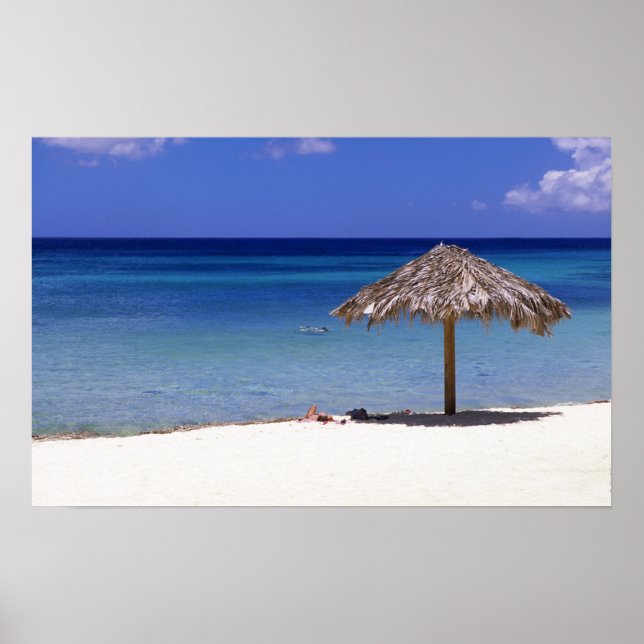 Poster Plage de Malmok, Aruba, Antilles néerlandaises (Devant)