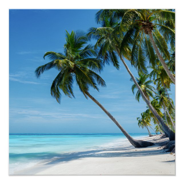 Poster Plage de palmiers exotiques eau turquoise paradis  (Devant)