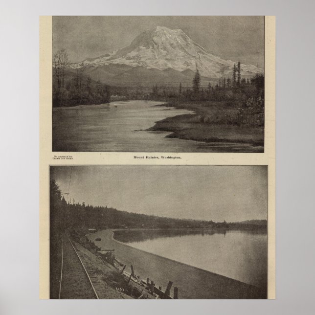 Poster Plage de Steilacoom Rainier (Devant)