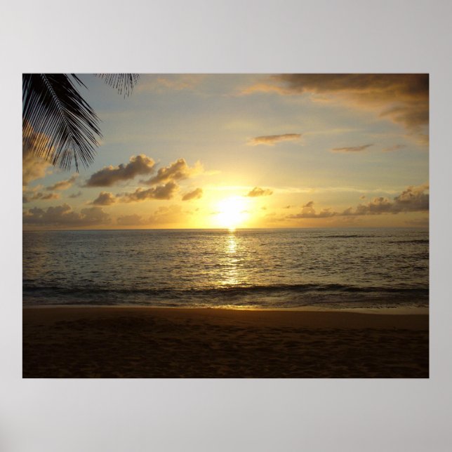 Poster Plage d'Hawaii (Devant)