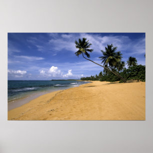 Poster Plage Porto Rico 2