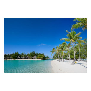 Poster Plage tropicale