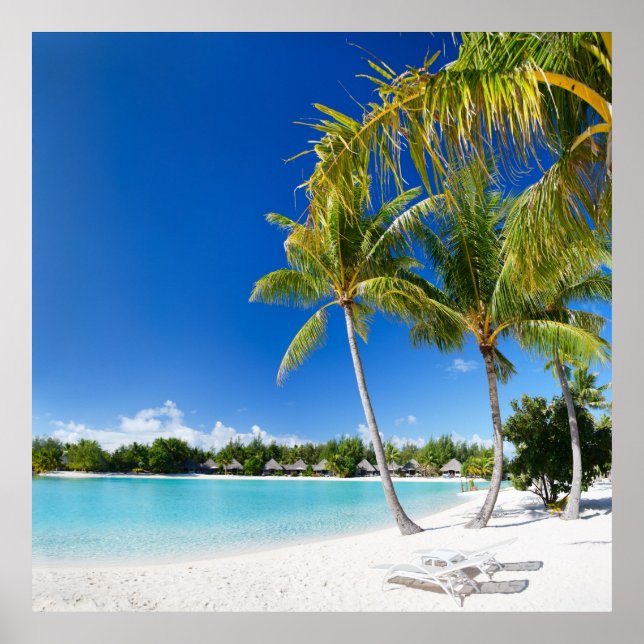 Poster Plage tropicale (Devant)