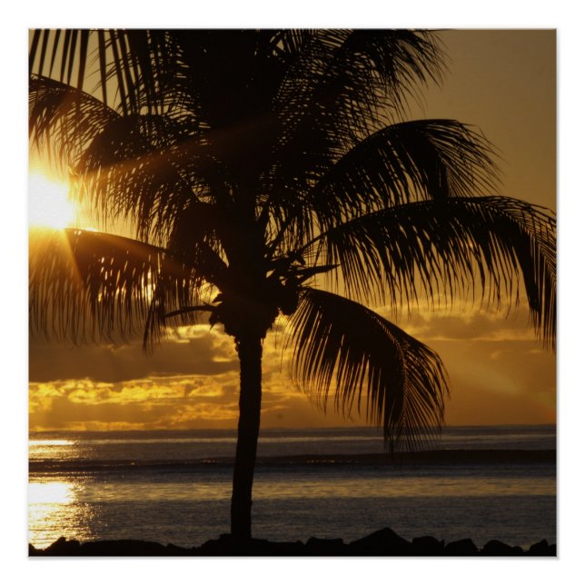 Poster Plage tropicale (Devant)