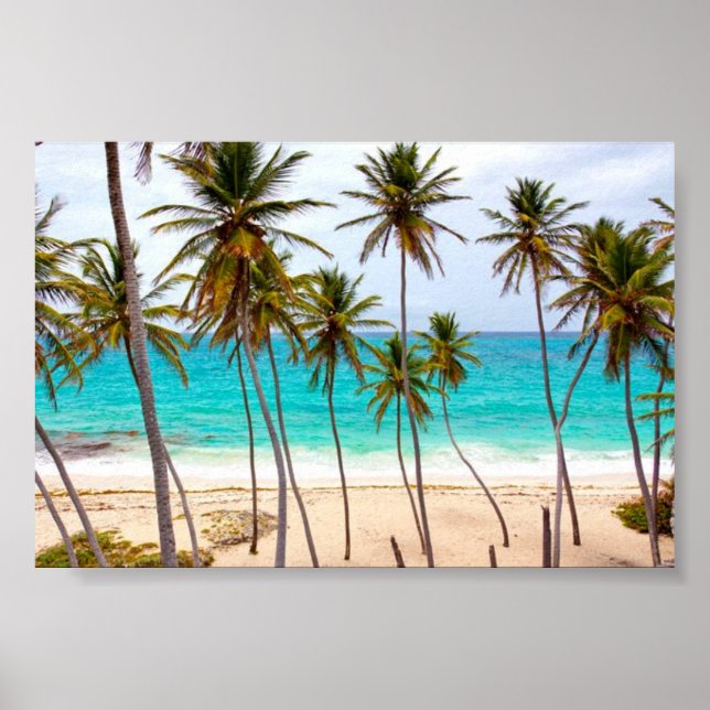 Poster Plage tropicale avec palmiers (Devant)