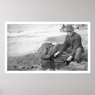 Poster Planification pour Gold Alaska 1907