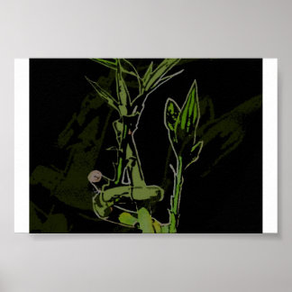 Poster Plante bambou