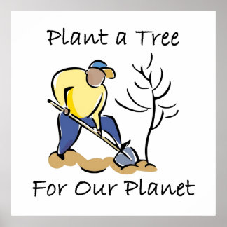 Poster Plante d'arbre
