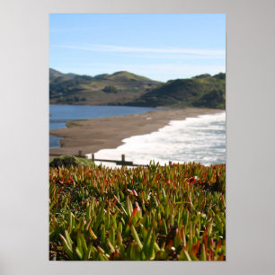 Poster Plante de glace, Plage, vagues (portrait)