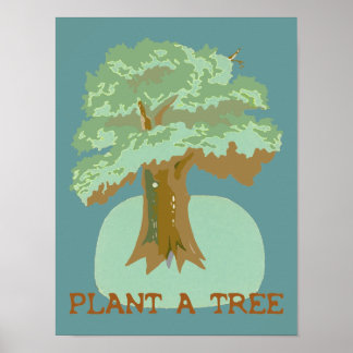 Poster plante d'un arbre