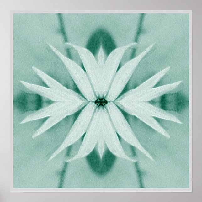 Poster Plante Imaginaire (Devant)