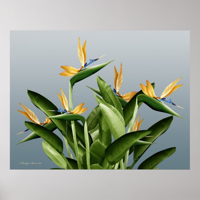 Poster Plante Imaginaire Oiseau du Paradis (Devant)