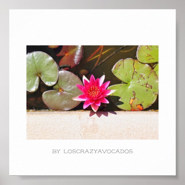 Poster Plante rouge vert brillant de l'eau (Devant)