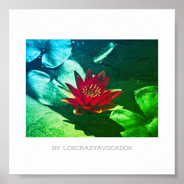 Poster Plante rouge vert brillant de l'eau (Devant)