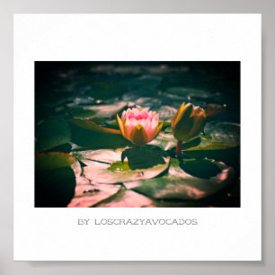 Poster Plante Stylisé Rose Eau Lily Fleurs