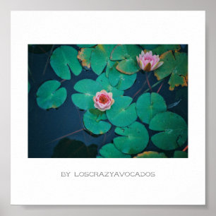 Poster Plante Stylisé Rose Eau Lily Fleurs