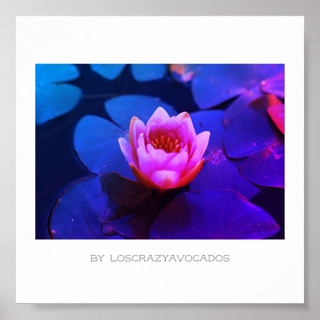 Poster Plante Stylisé Rose Eau Lily Fleurs (Devant)
