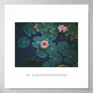 Poster Plante Stylisé Rose Eau Lily Fleurs