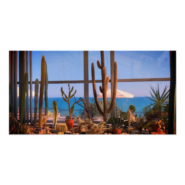 Poster Plantes de cactus et mer (Devant)