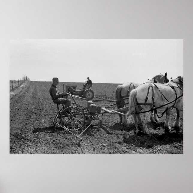 Poster Planteur de maïs tiré à cheval, 1940 (Devant)