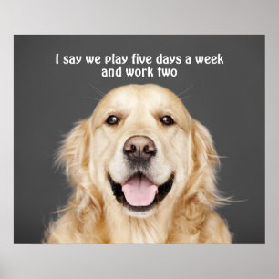POSTER PLAY FIVE DAYS A WEEK