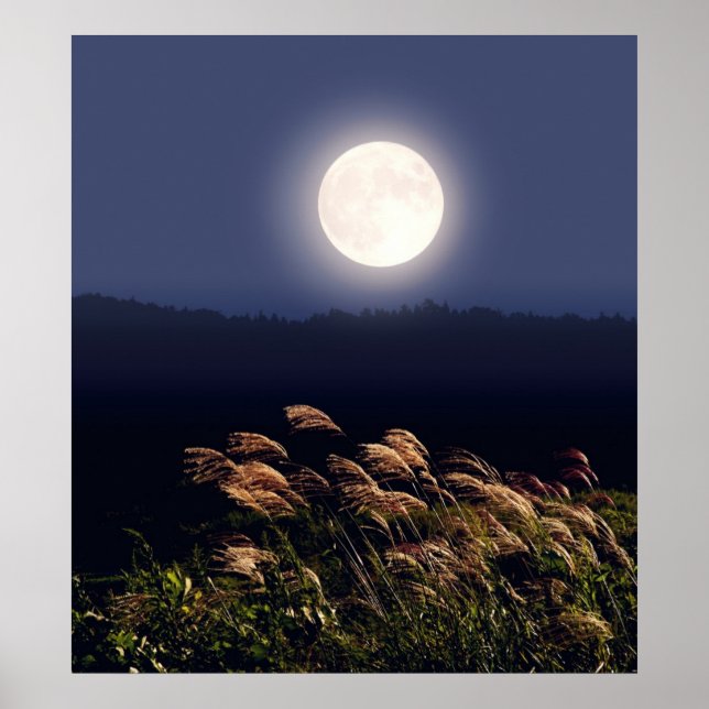 Poster Pleine lune (Devant)