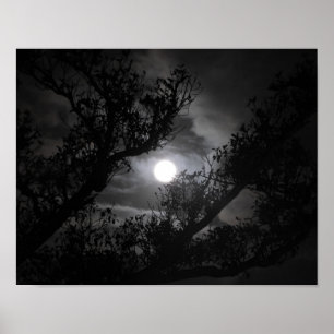 Poster Pleine lune à travers les branches