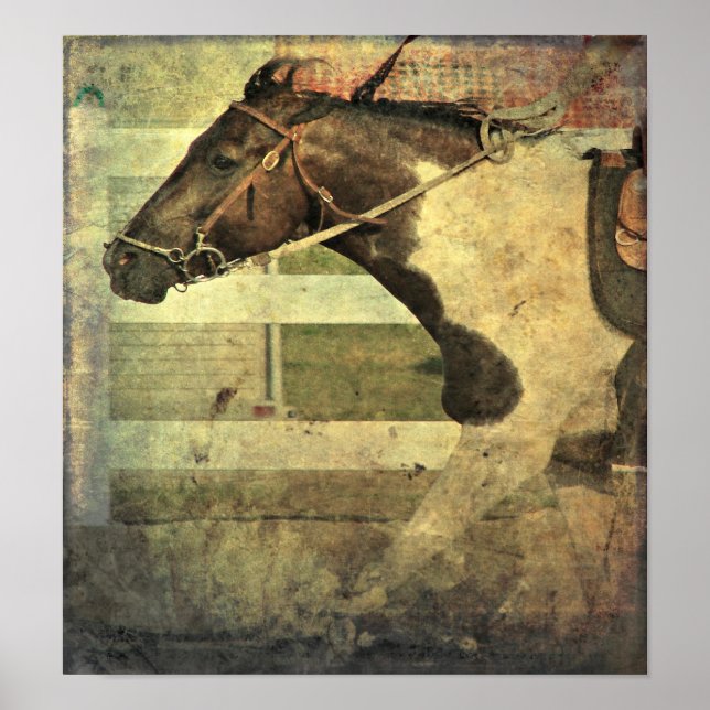 Poster Pleine Vitesse, Pinto Pony (Devant)