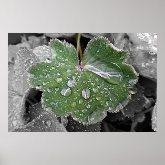 Poster pluie lourde (Devant)