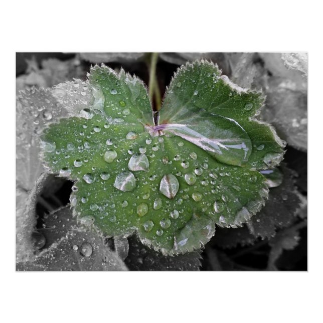Poster pluie lourde (Devant)