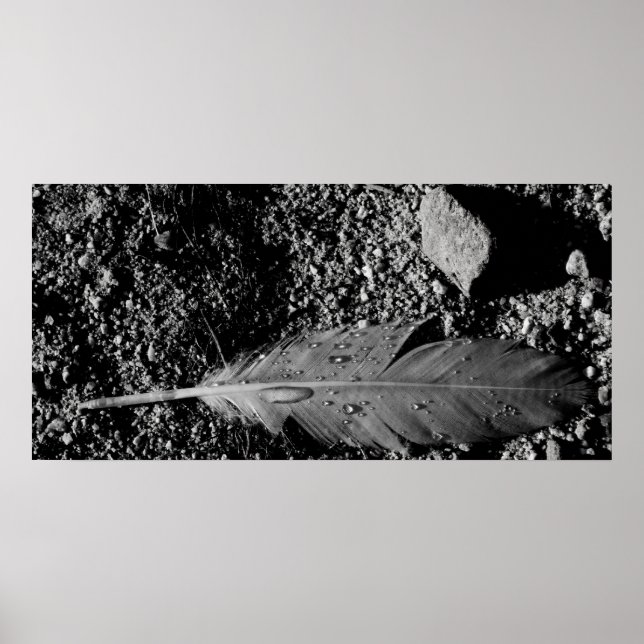 Poster Plume humide (Devant)