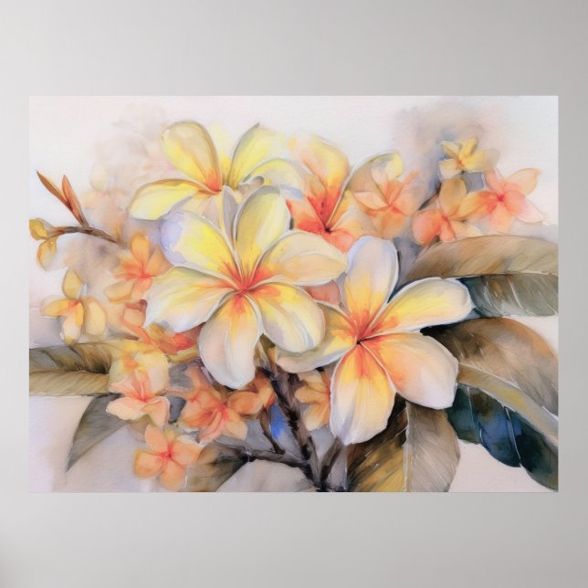 Poster Plumeria et Shell Ginger (Devant)