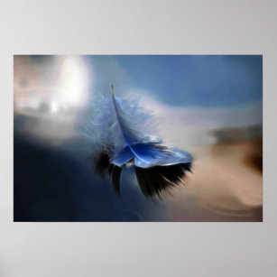 Poster Plume blanche oiseau