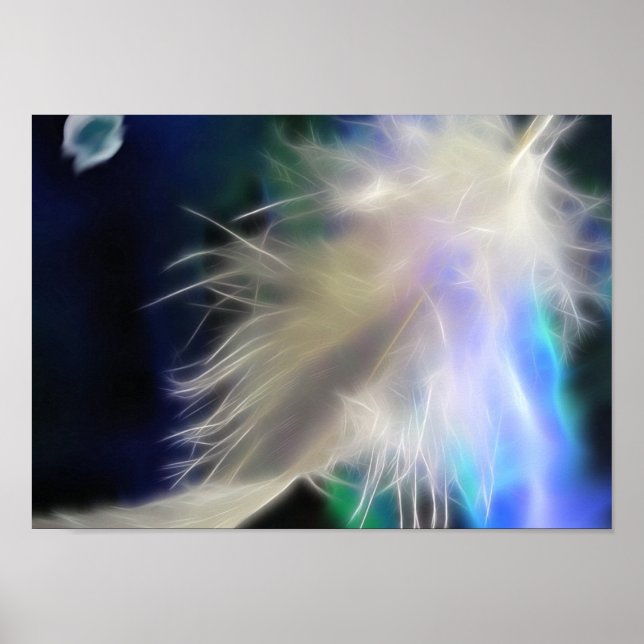 Poster Plumes d'ange (Devant)