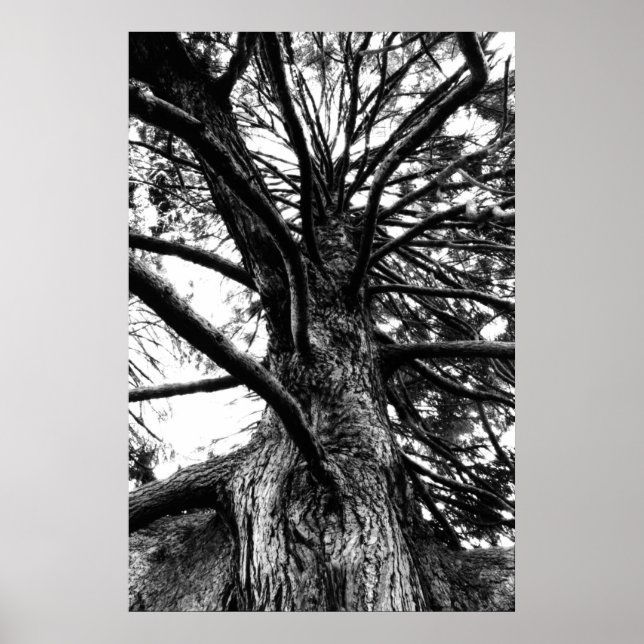 Poster Plus grand que vous ne pensez (Devant)