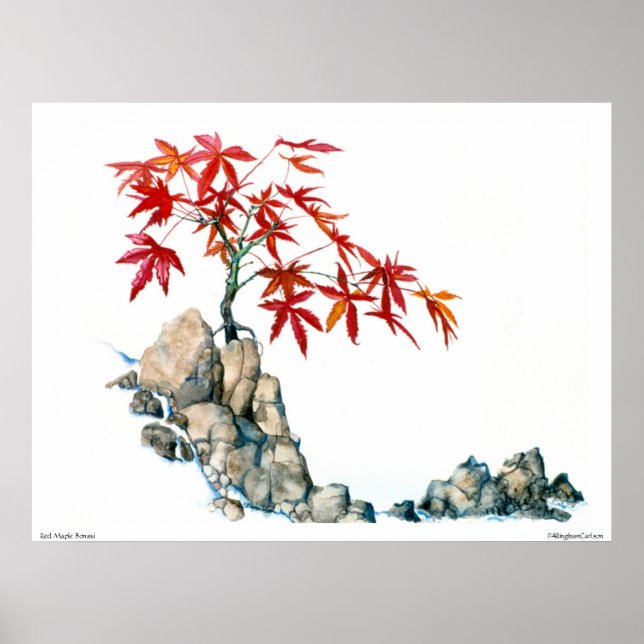 Poster PMACarlson Red Maple Bonsai (Devant)