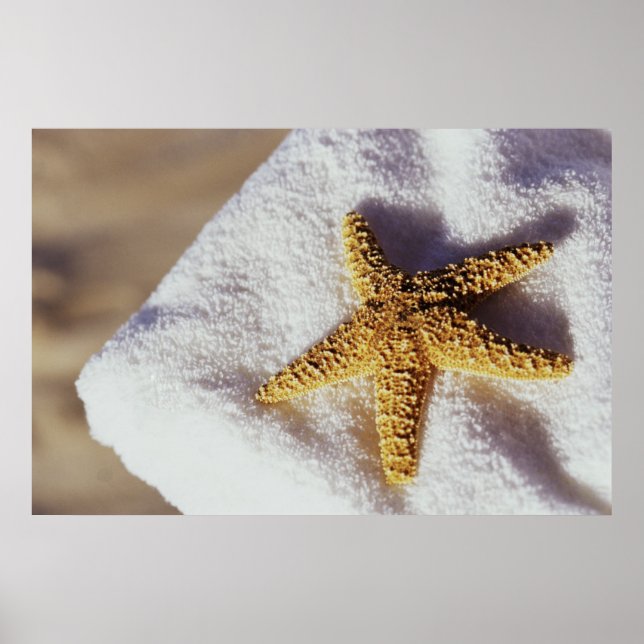 Poster Poêle Sur Serviette (Devant)