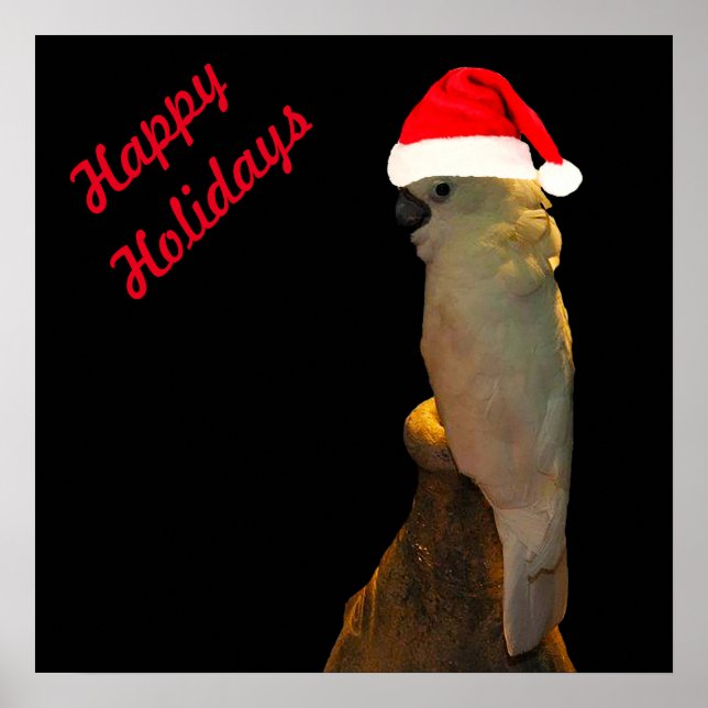 Poster Poing personnalisé père Noël vacances Cockatoo ois (Devant)
