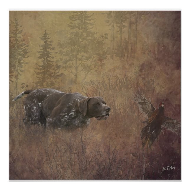 Poster Pointeur à poils courts allemand (Devant)