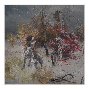 Poster Pointeur À poils durs allemand avec bécasse en hiv