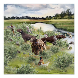 Poster Pointeur court allemand