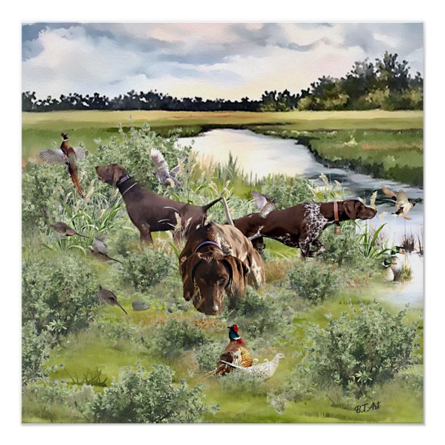 Poster Pointeur court allemand (Devant)