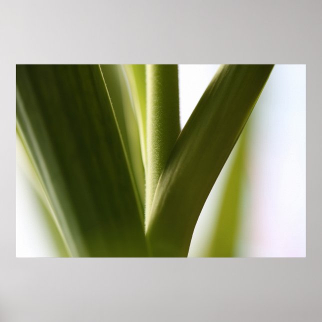 Poster Points saillants du support (Devant)