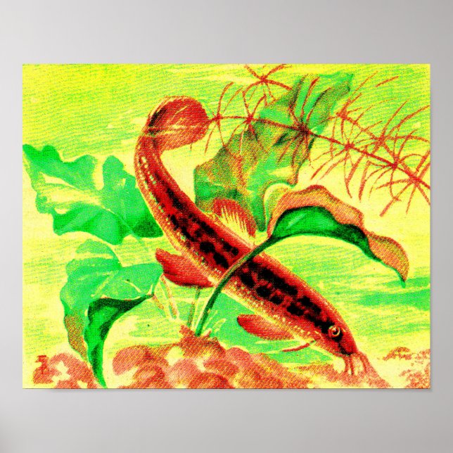 Poster poisson (Devant)