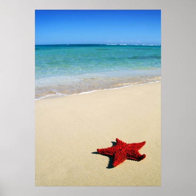 Poster Poisson Rouge Sur Plage De Sable Blanc (Devant)