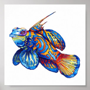 Poster - Poisson tropical