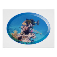 Poisson-verge à la barrière de corail - Design pho